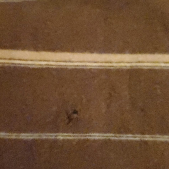 Polo t-shirt - Picture 3 of 3